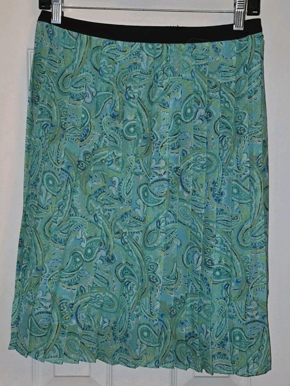Kim Rogers Petite Large Skirt PL Blue Teal Paisley Pleated Lined Elastic Waist